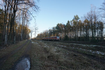 Pociąg w lesie © Adam