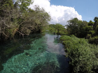 Bonito - MS,  Brazil. Diving in Sucuri River