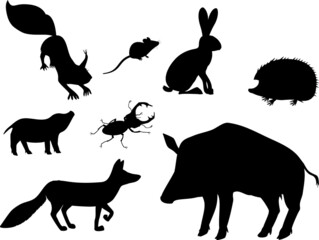 Set of silhouette of cartoon animals living in grove and park isolated on white background