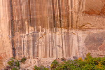 USA, Utah. Grand Staircase Escalante National Monument, sandstone wall displays mineral streaks...