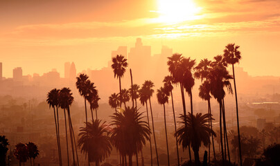 Foggy sunset of Los Angeles downtown skyline and palm trees in foreground