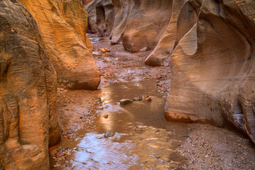 USA, Utah. Grand Staircase Escalante National Monument, Willis Creek Narrows with colorful sandstone formation and flowing Willis Creek.