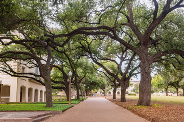 Obraz premium Overcast view of the campus of University of Texas at Austin