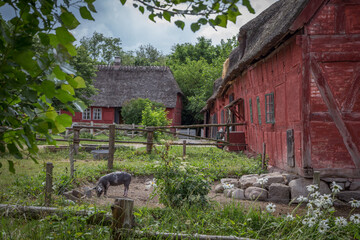 Fototapeta premium Denmark