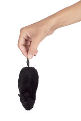 Obraz premium Hand holding Cat Toy plush mouse Wind-up Mechanical isolated on white background