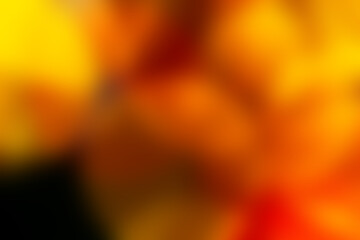 Blurred orange color background. Gradient, smooth gradation bright design. Template concept photo