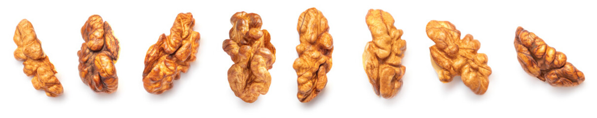 Walnut Isolated. Walnut kernel Nut  on white background.
