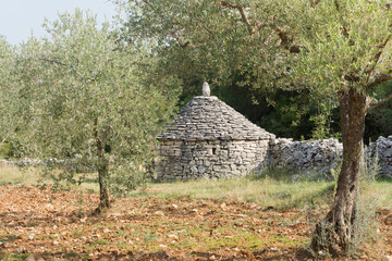 A Kazun is a native Mediterranean round house with conical roof. The house is built of dry stone without any other material. It is used as a shelter or for storage... - 472877918