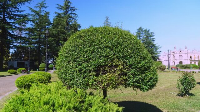 Beautiful trimmed miniature green trees in garden in the park. place is located in Georgia on the territory of the Dadiani Castle tourist resort. Zugdidi. park with beautiful landscapes and figures.