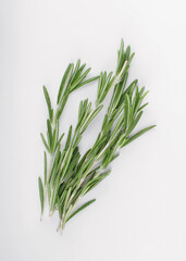 sprigs of rosemary isolated on white background