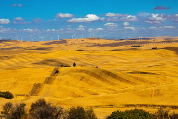 USA, Washington State, The Palouse, from Steptoe Butte, wheat fields, wind farm