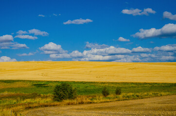 USA, Washington State, The Palouse