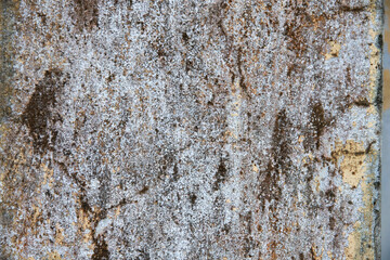 old wall background