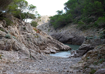 Cala diminuta en el mediterráneo