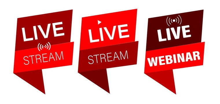 Webinar, video broadcast. Live seminar. A set of banners, stickers for online learning, live lessons. Internet conference on business education. Vector image.