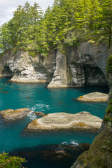 Naklejka premium Makah Indian Reservation near Neah Bay, Washington, USA. View of Pacific Ocean from Cape Flattery trail.
