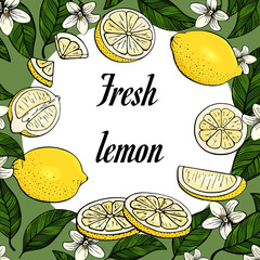 Yellow lemons. Set of citrus. Fresh fruits. Whole lemon, slice, cut pieces, flower, green leaves. Vector background. Isolated on white background. Color. Can be used as a label, template, for bar menu