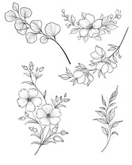 Hand drawn branch of sakura with blooms, flowers, leaves, petals. Modern line art style. Botanical composition for card, invitation, logo, fabric print.