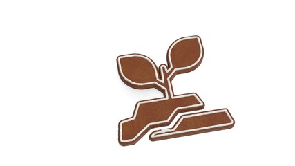 3d rendering of gingerbread symbol of plant in soil isolated on white background