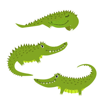 Vector illustration, set of three cute crocodiles in flat style. Adoraable animals for different designs, stickers, cards, advertisemet, zoo, decorations, posters, prints, clothes