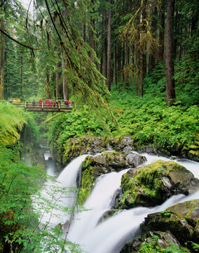 Washington State, Olympic National Park, Sol Duc Falls and bridge over the Sol Duc River
