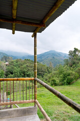 Vertical view of green jungle landscape with fog in Colombia. Panoramic view of porch with mountains in Salento valley and green scenery. Colombia landscapes concept.