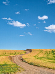 USA, Washington State, Palouse. Country backroad through harvest fields