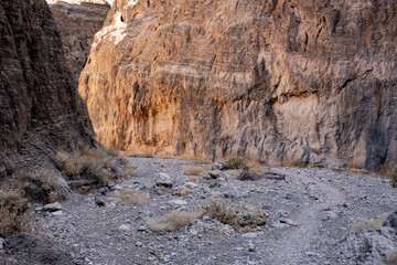 Fall Canyon Trail Turning Left Toward The Light