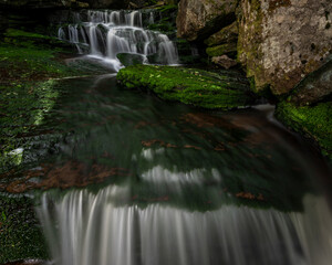 USA, West Virginia, Blackwater Falls State Park. Shays Run Falls cascades in spring.