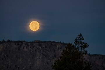 Full moon rising, Yellowstone National Park, Wyoming