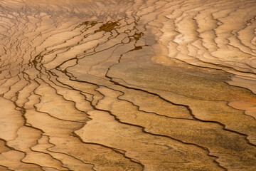 Line pattern in bacterial mat around Grand Prismatic Spring, Yellowstone National Park, Wyoming