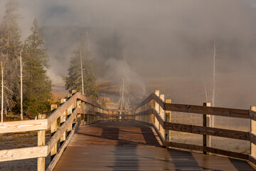 Boardwalk on foggy morning, Upper Geyser Basin, Yellowstone National Park, Wyoming