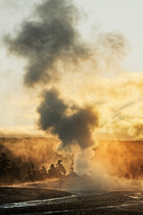 Obraz premium Old Faithful steaming in early morning, Upper Geyser Basin, Yellowstone National Park, Wyoming