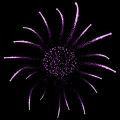 Beautiful firework  with  sparks at night sky. Vector illustration