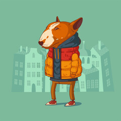 Vector illustration of cool humanized bull terrier. Anthropomorphic dog. Animal character with human body. Calm hipster dog in a down jacket standing still against buildings' silhouettes