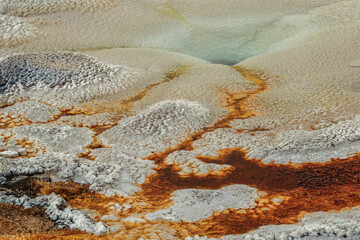 Fototapeta na wymiar Colorful bacterial mat, Upper Geyser Basin, Yellowstone National Park, Wyoming
