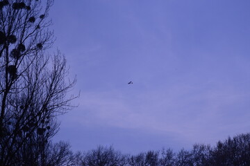 photo of the aircraft in the air