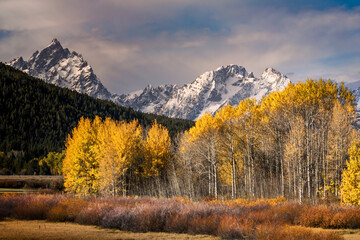 Autumn view of Mt. Moran from Oxbow Bend, Grand Teton National Park, Wyoming