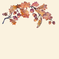 Watercolor autumn oak branch with acorns