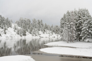 USA, Wyoming, Yellowstone National Park. Spring snow covers forest and banks of Yellowstone River.