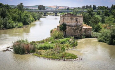 Ancient ruins on the banks of the river Rio Guadalquivir, Cordoba
