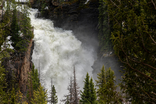 USA, Wyoming, Shoshone National Forest. Spring snow runoff gorges Beartooth Falls.