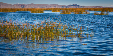 Peru Lake Titicaca, near Puno, Peru