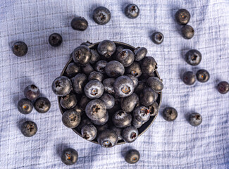 blueberries in a bucket on a blue background top view