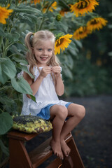 Beautiful girl sits on a bench in sunflowers and eats sunflower seeds