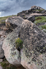 USA, Wyoming. Alpine Avens boulders with clouds, Beartooth Pass.
