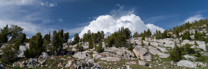 Fototapeta na wymiar USA, Wyoming. Alpine zone vista of boulders with clouds, Beartooth Pass.