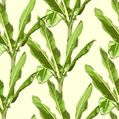 Bananas tree. Seamless floral pattern with exotic banana grass. Tropical pattern on a yellow background. 