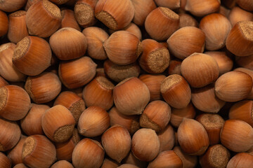 Close-up shot of hazelnuts, as a background. Filberts or noisettes 
