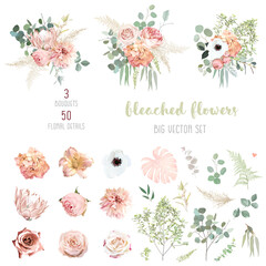 Peachy pink roses, ranunculus, white anemone, dried protea, dahlia big vector design set. - obrazy, fototapety, plakaty